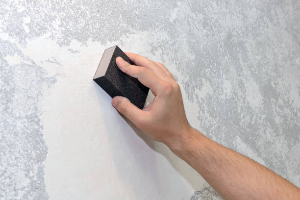 Best Basement Mold Removal  in Falmouth Foreside, ME