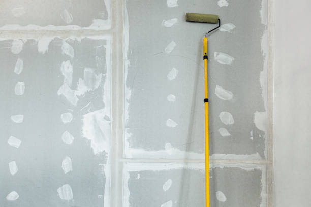Best Crawl Space Mold Remediation  in Falmouth Foreside, ME