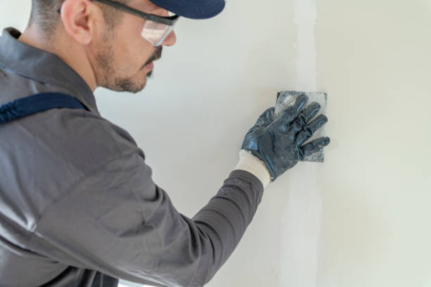 Best Commercial Mold Inspection  in Falmouth Foreside, ME
